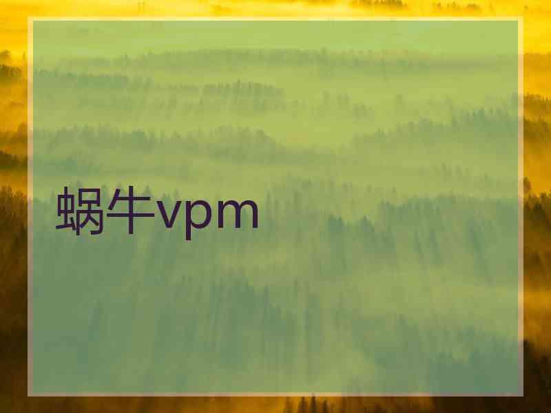蜗牛vpm