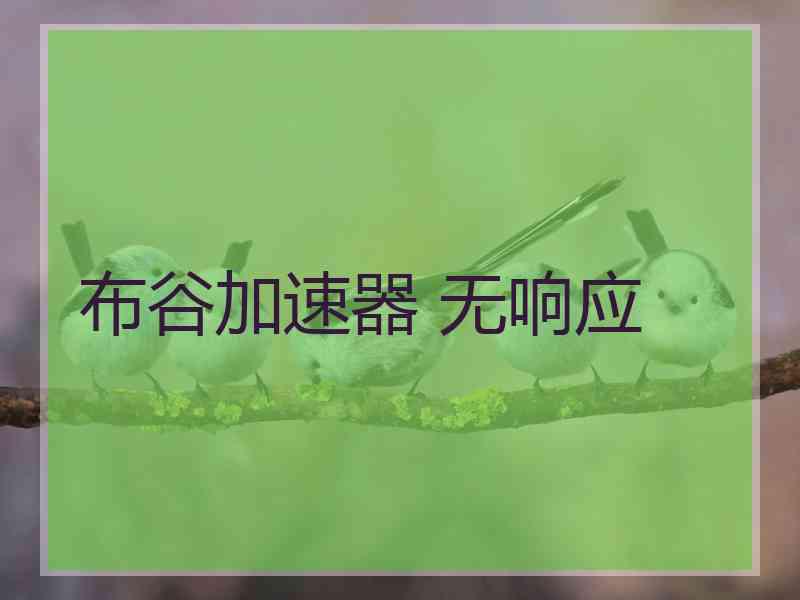 布谷加速器 无响应