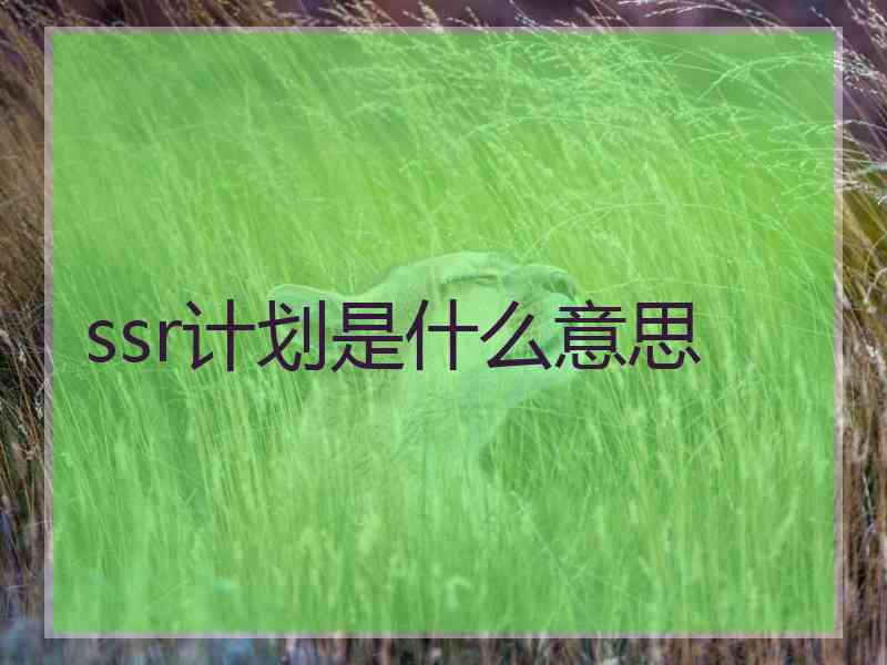 ssr计划是什么意思