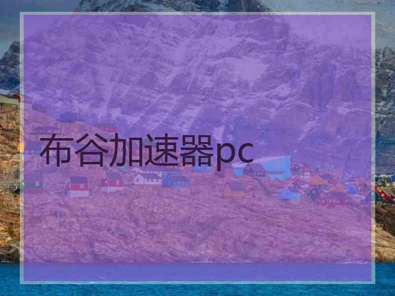 布谷加速器pc