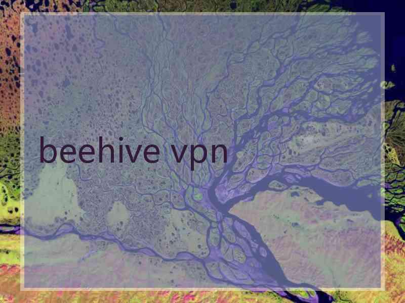 beehive vpn