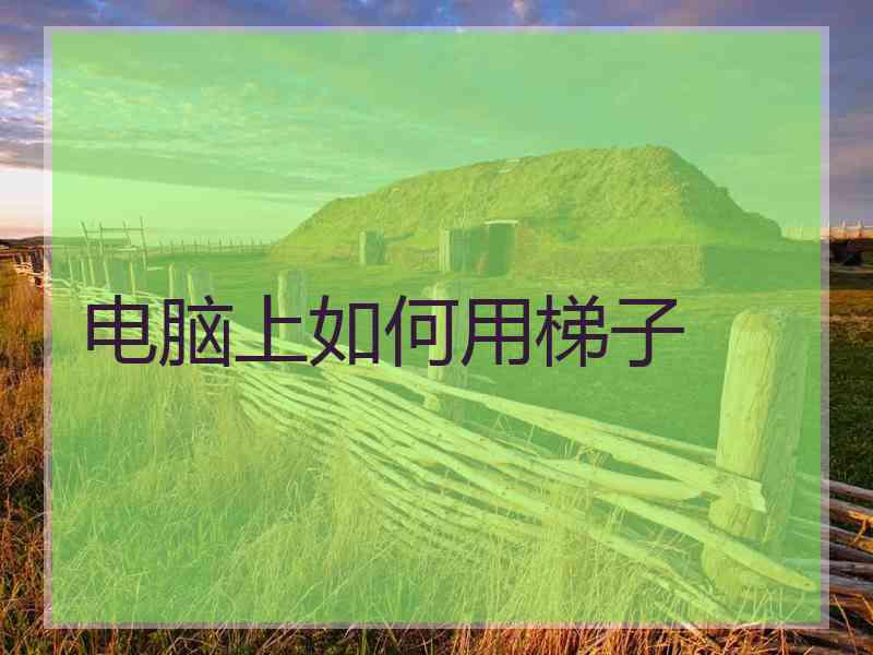 电脑上如何用梯子