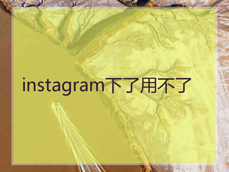 instagram下了用不了