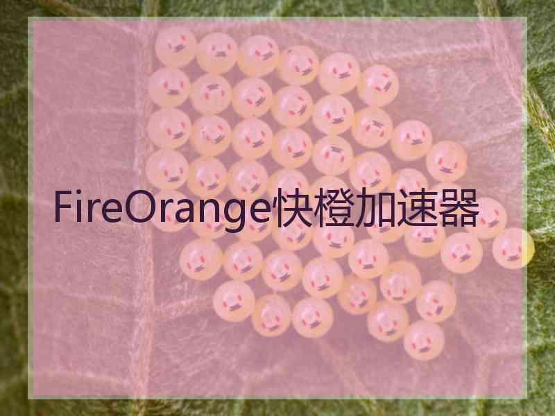 FireOrange快橙加速器