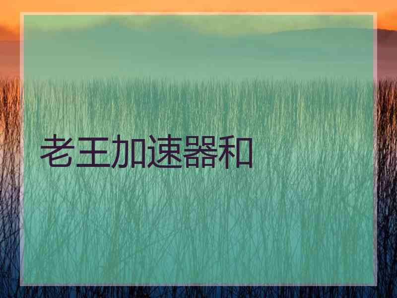 老王加速器和