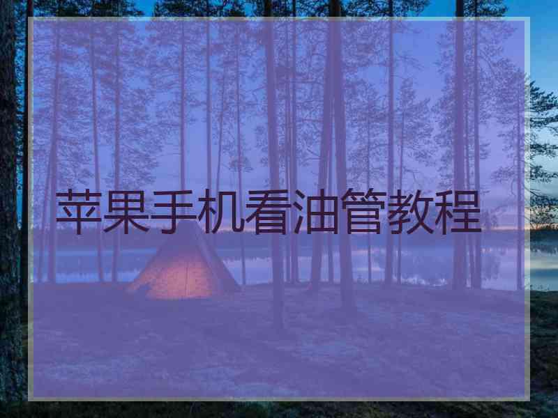 苹果手机看油管教程