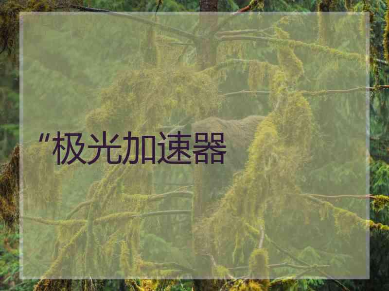 “极光加速器