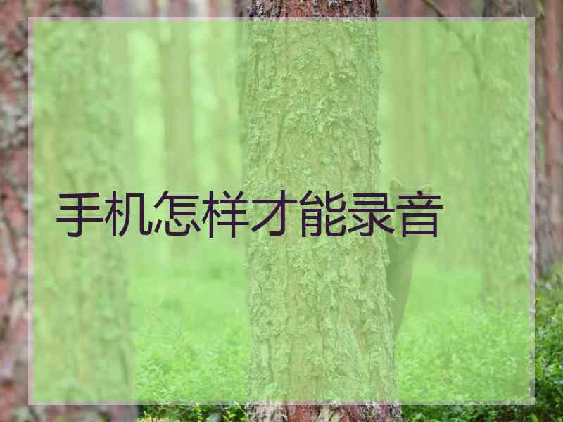 手机怎样才能录音