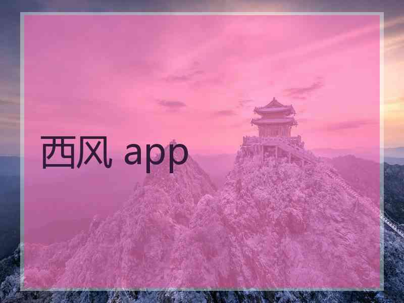 西风 app