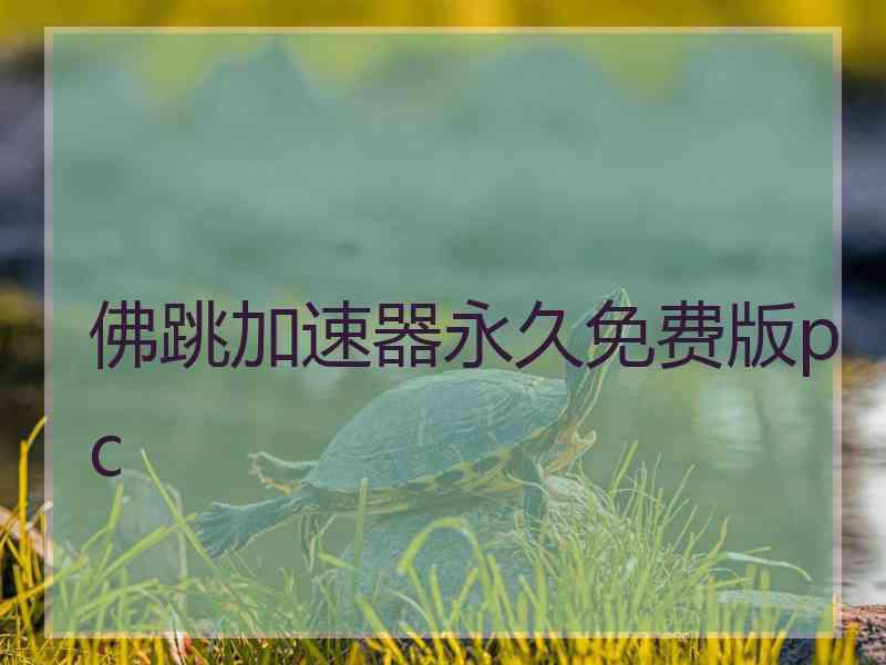 佛跳加速器永久免费版pc