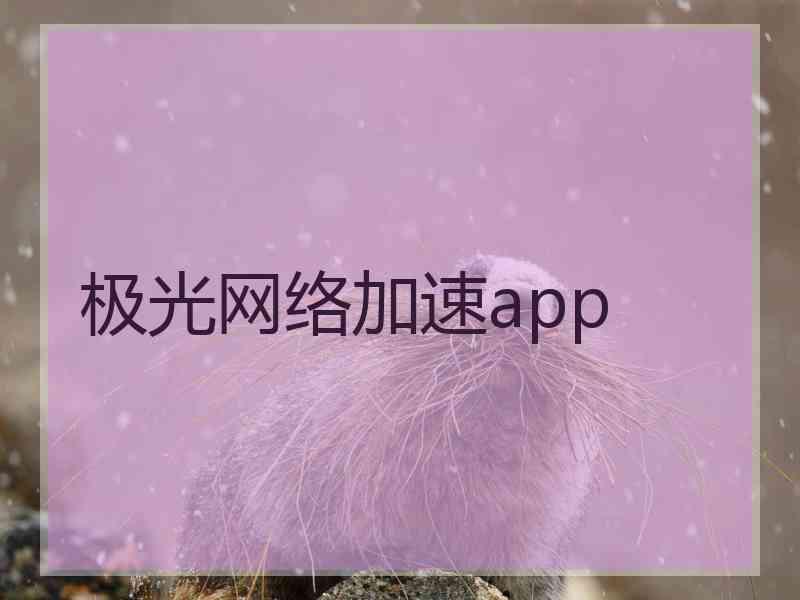极光网络加速app
