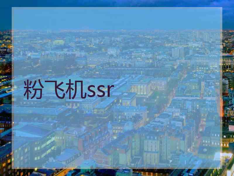 粉飞机ssr