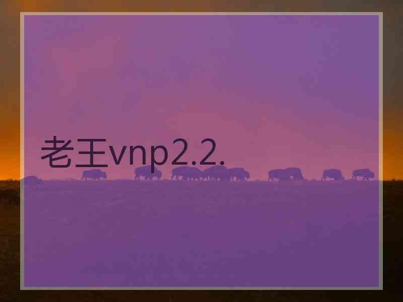 老王vnp2.2.