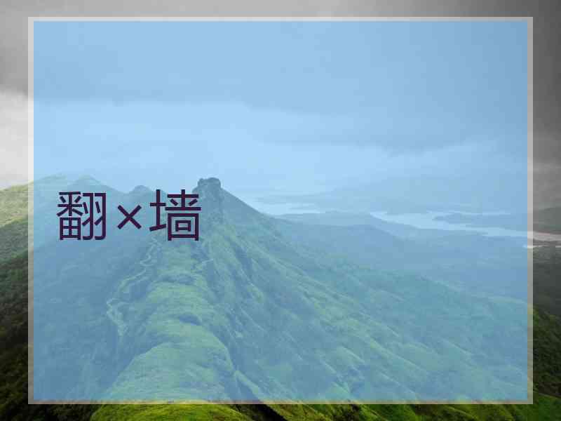 翻×墙