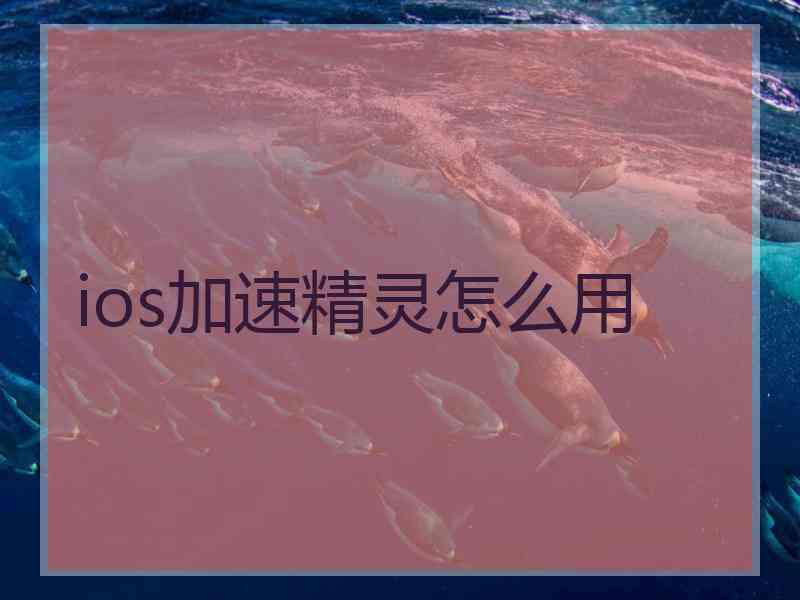 ios加速精灵怎么用
