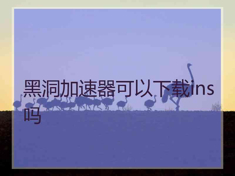 黑洞加速器可以下载ins吗