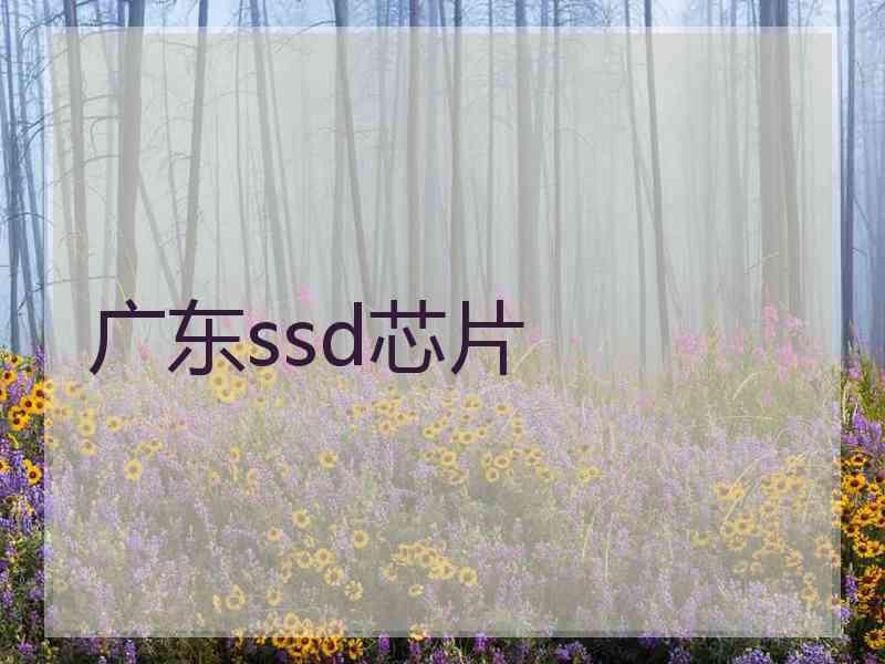 广东ssd芯片