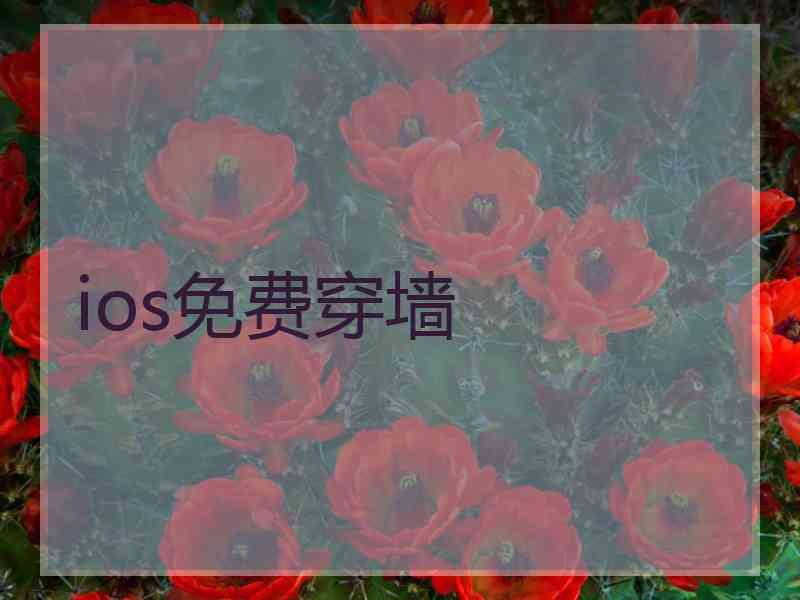ios免费穿墙