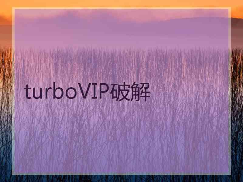 turboVIP破解