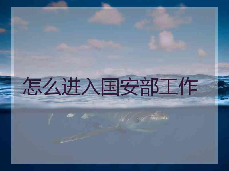 怎么进入国安部工作