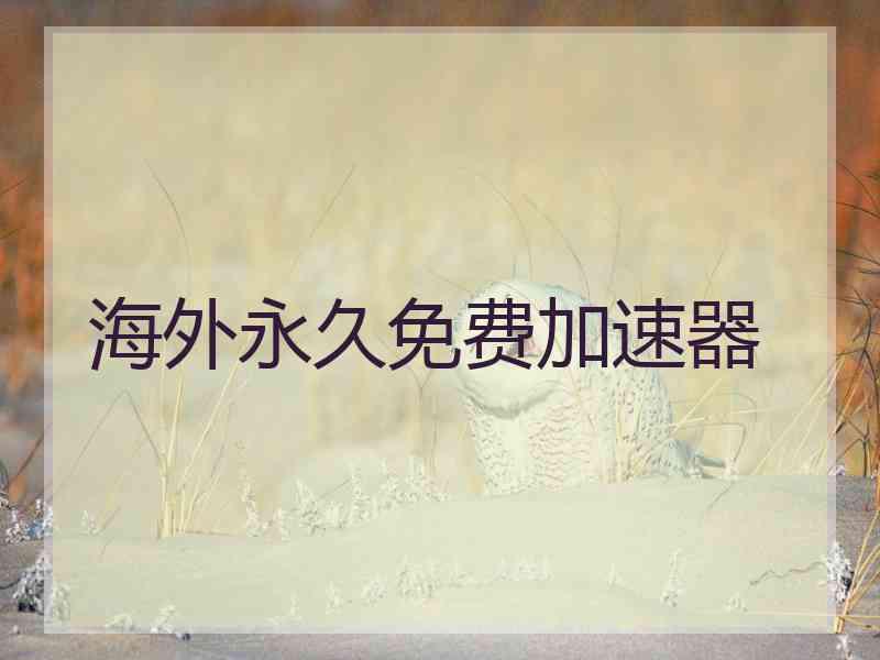海外永久免费加速器