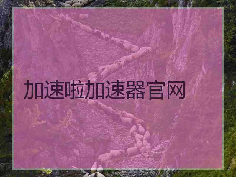 加速啦加速器官网