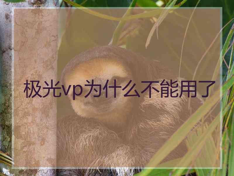 极光vp为什么不能用了