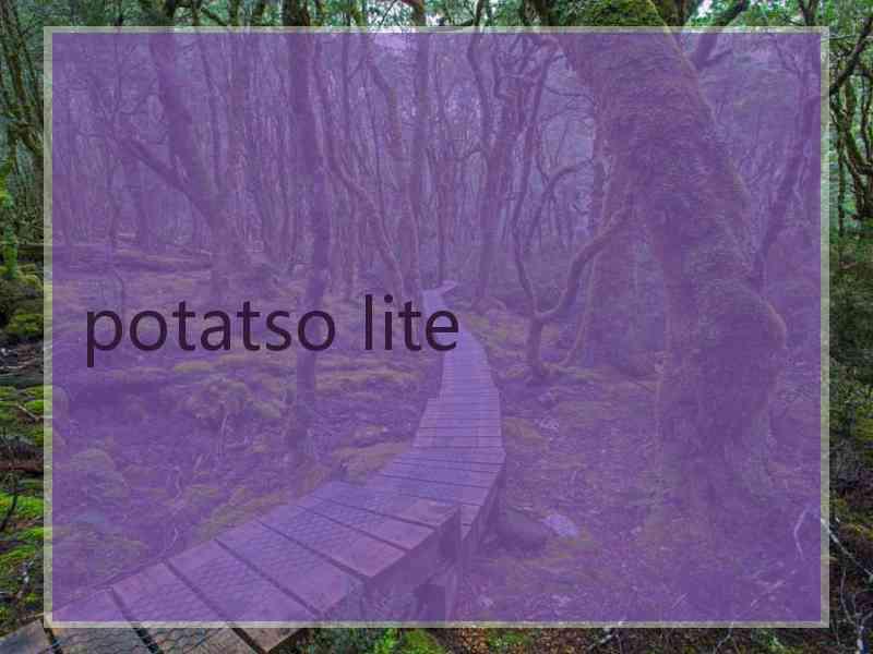 potatso lite