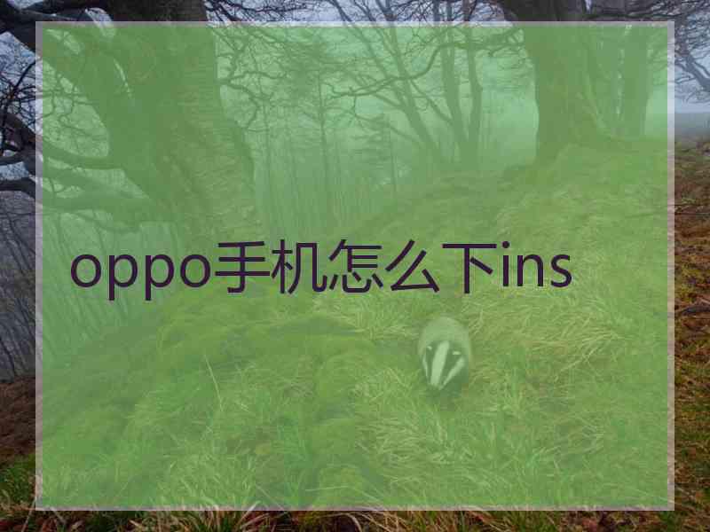 oppo手机怎么下ins