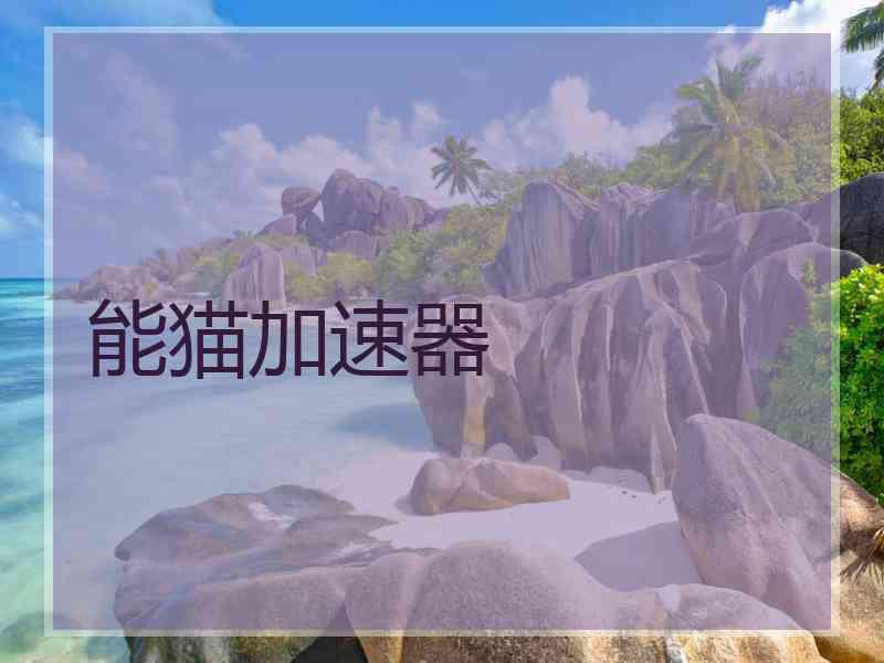 能猫加速器