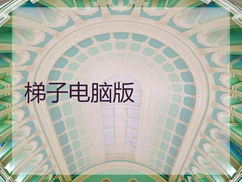 梯子电脑版