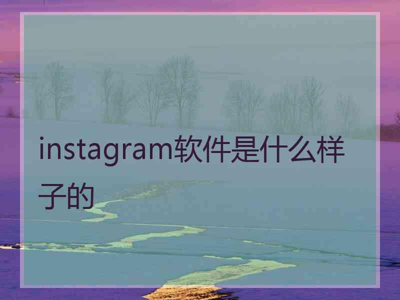 instagram软件是什么样子的