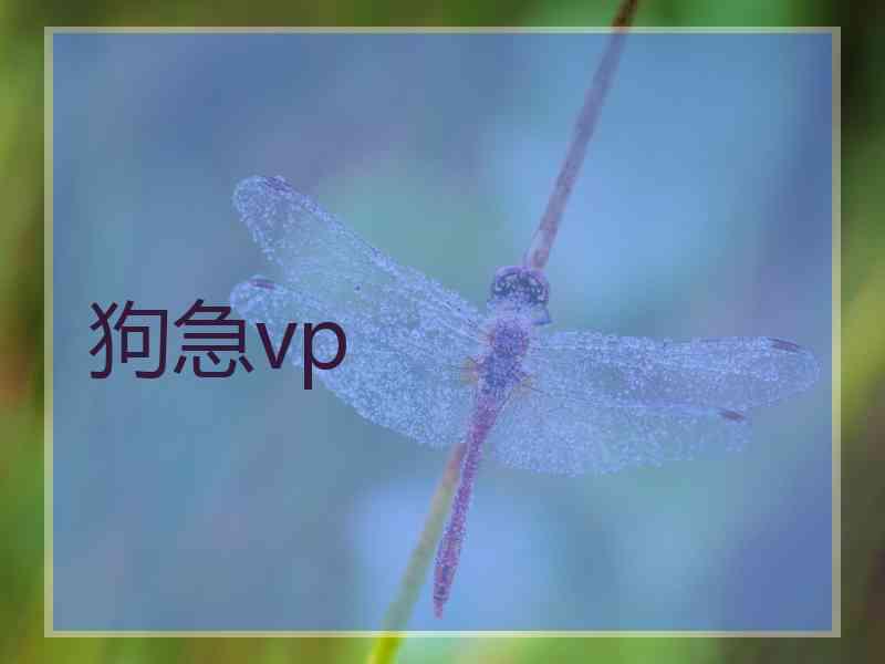 狗急vp