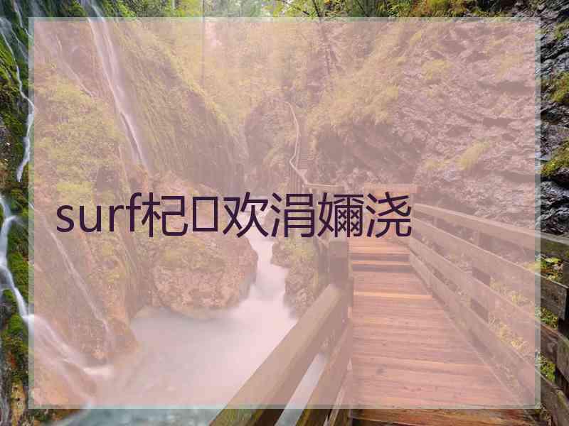 surf杞欢涓嬭浇