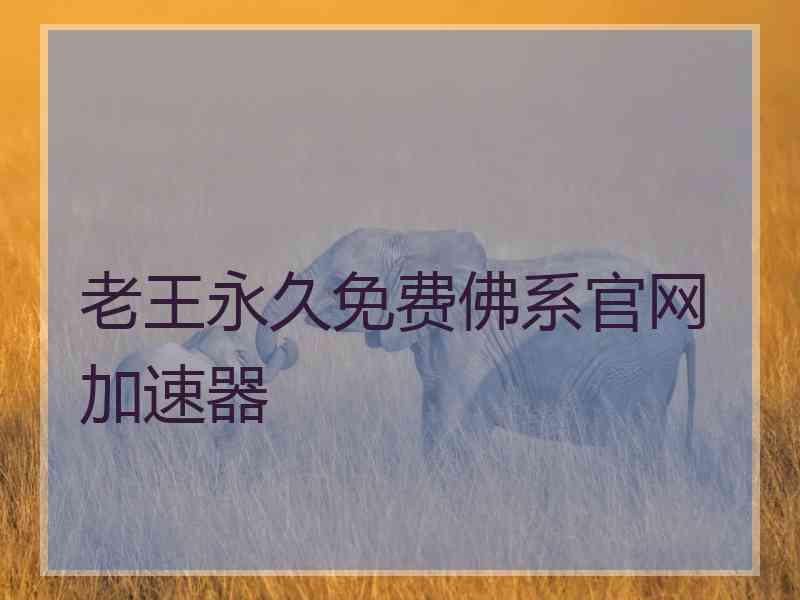 老王永久免费佛系官网加速器