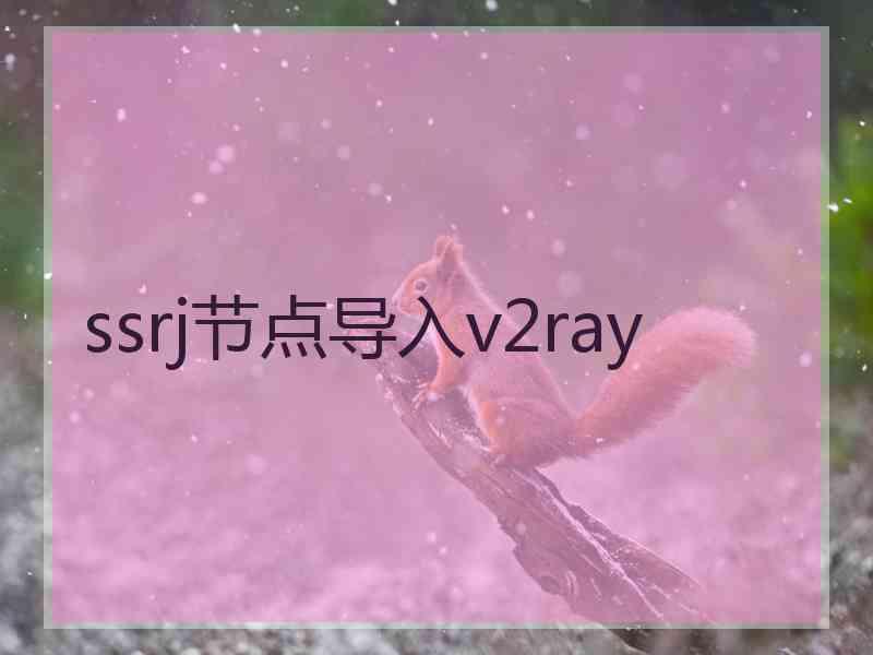 ssrj节点导入v2ray
