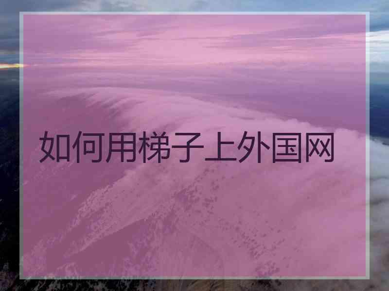 如何用梯子上外国网