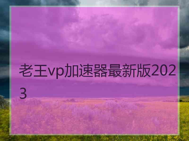 老王vp加速器最新版2023