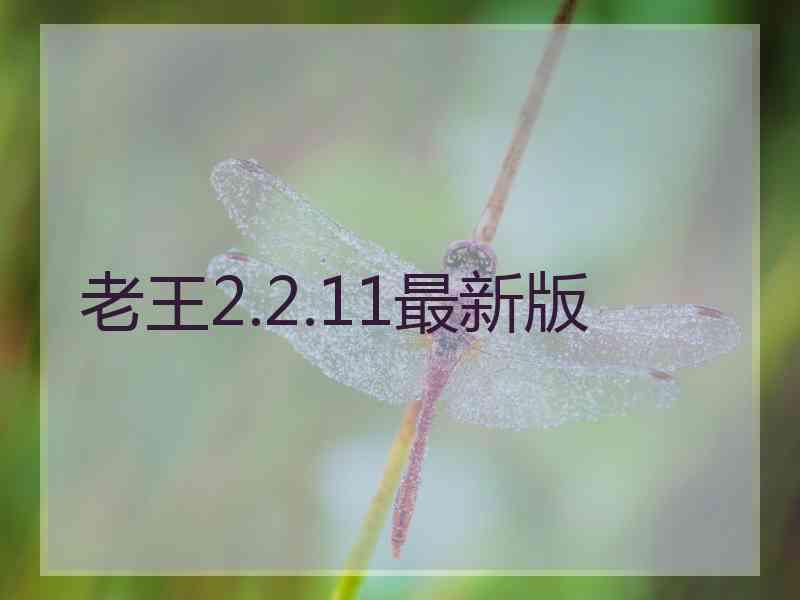 老王2.2.11最新版