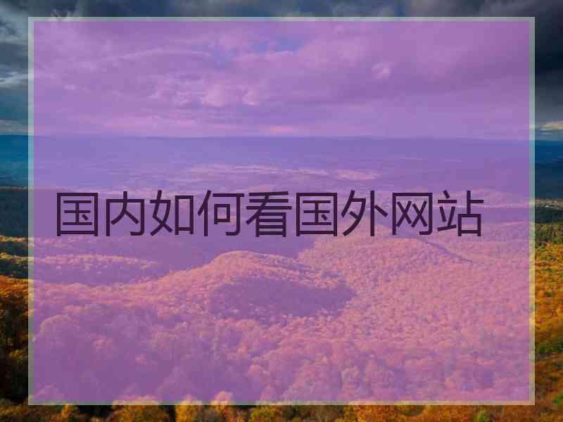 国内如何看国外网站