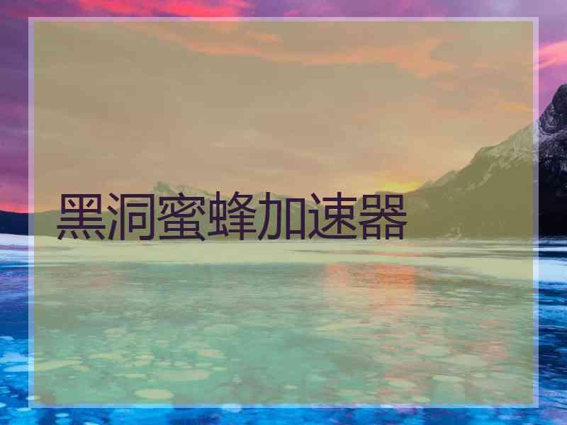 黑洞蜜蜂加速器