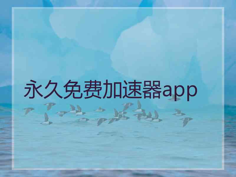 永久免费加速器app