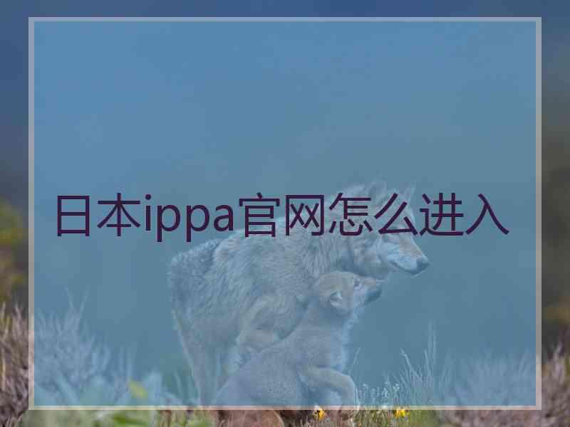 日本ippa官网怎么进入
