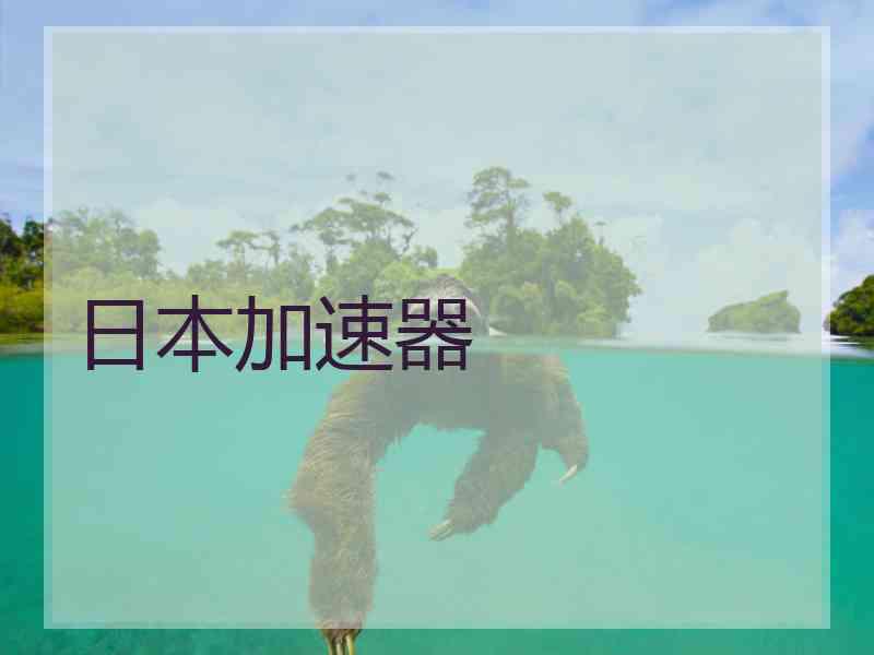 日本加速器