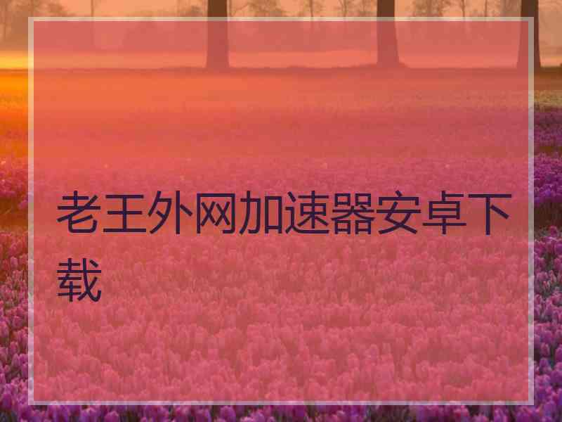 老王外网加速器安卓下载