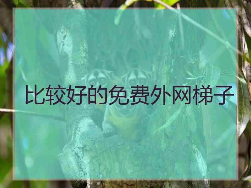 比较好的免费外网梯子