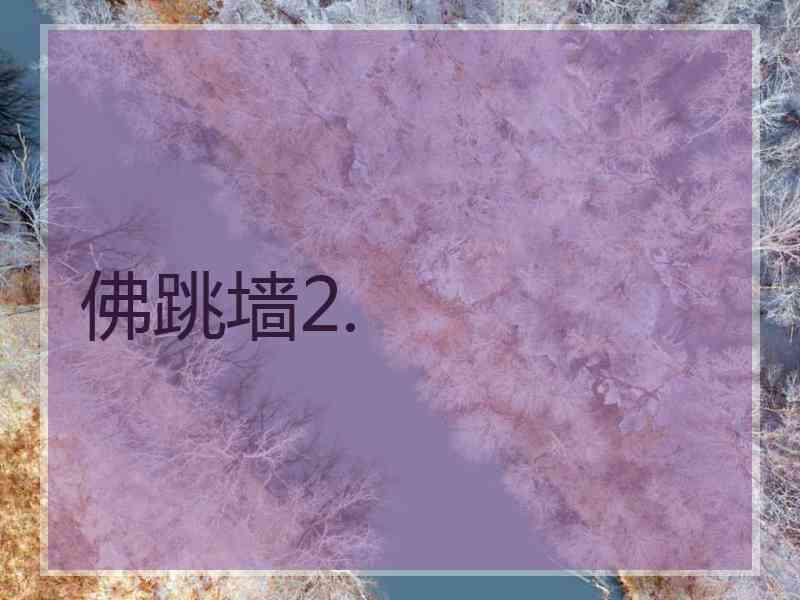 佛跳墙2.