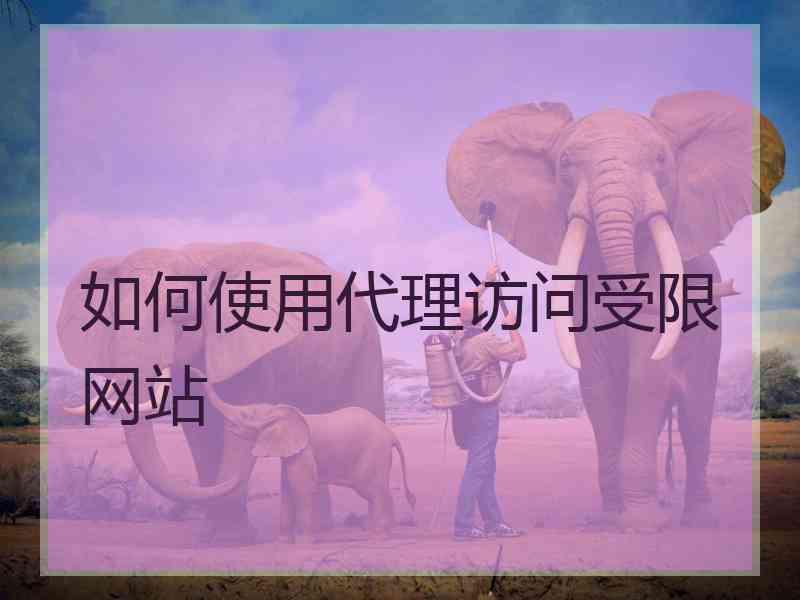 如何使用代理访问受限网站