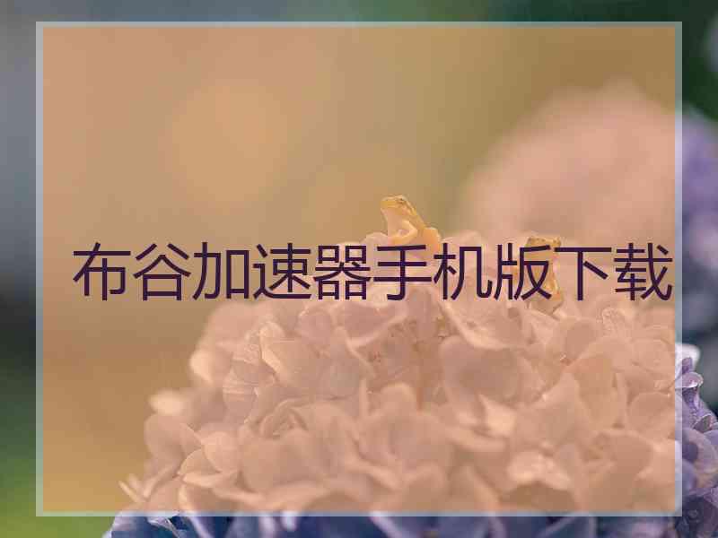 布谷加速器手机版下载