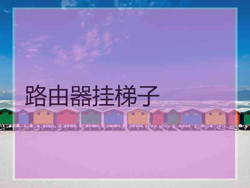 路由器挂梯子